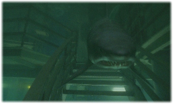 Gen II swims down the stairs
