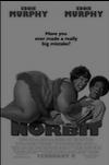 norbit