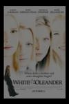 whiteoleander